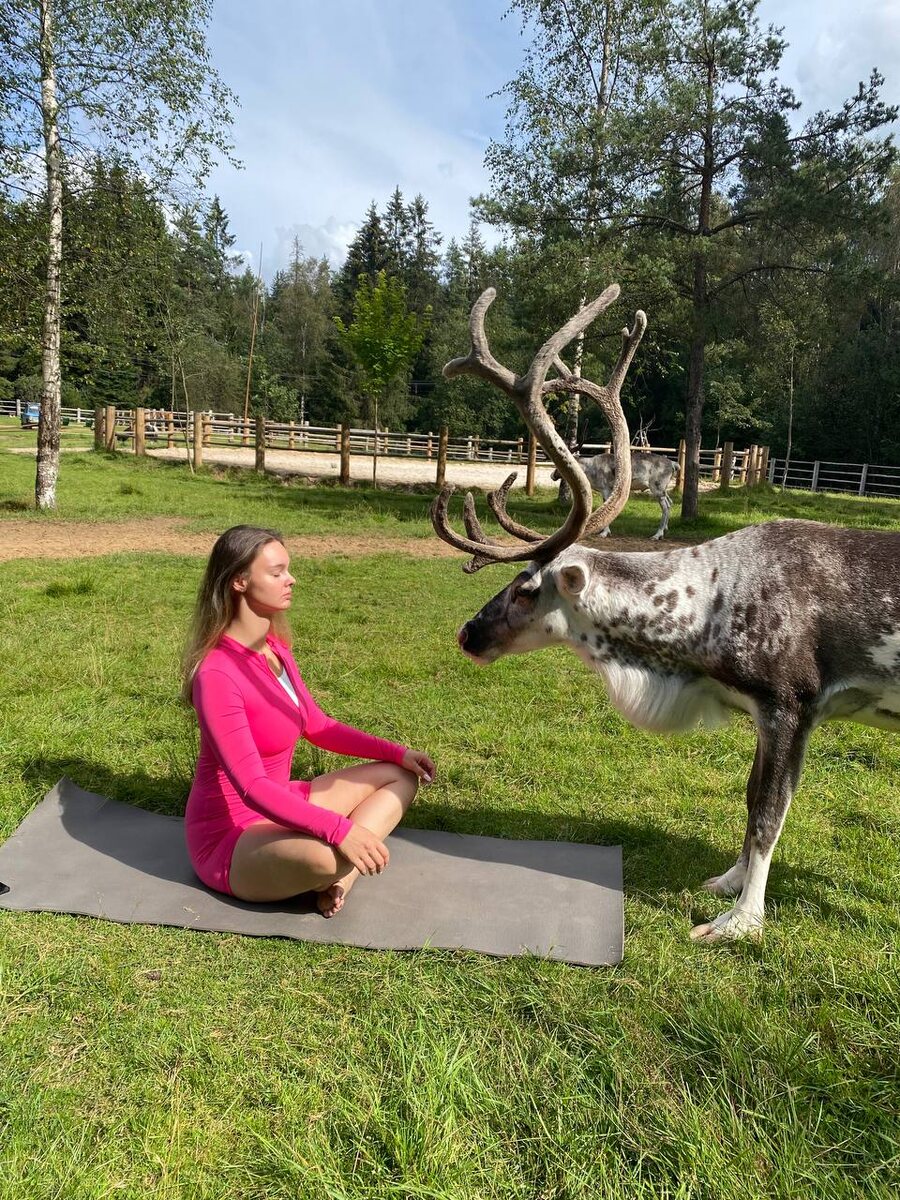 Принимаю знания о северных народах 