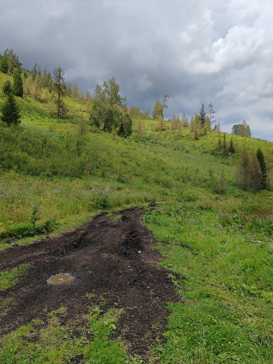 Дорога вообще ни фига не манит
