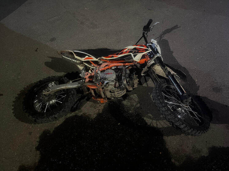     Госавтоинспекция Тамбовской области