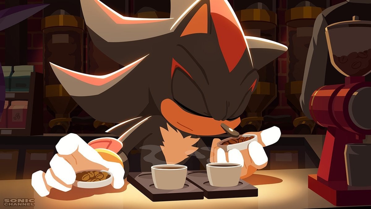 «В определённое время дня, в небольшой кофейне, известной лишь настоящим ценителям, Шэдоу был замечен за созерцанием отборных, обжаренных вручную зёрен.В этом тихом и почти безмолвном месте, где звуки едва уловимы, воздух был наполнен тонким ароматом — слегка сладковатым и в то же время горьковатым, от которого сердце наполнялось особым спокойствием».— Команда официального японского сайта «Sonic Channel».