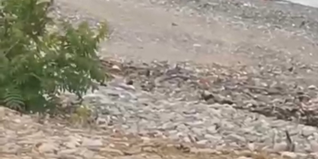 Больше в Абхазию не поедем. Мы пережили ад. Перевернулись на гидроскутере. отдали 50т.р. якобы за поломку. Полиция не стала помогать