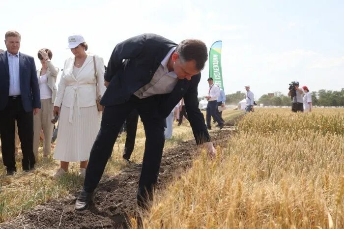 Врио донского губернатора Юрий Слюсарь ввел режим ЧС на пострадавших от засухи территориях накануне уборочной кампании. Фото: www.donland.ru/