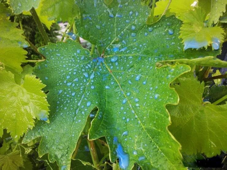 Фото из открытых источников интернета 