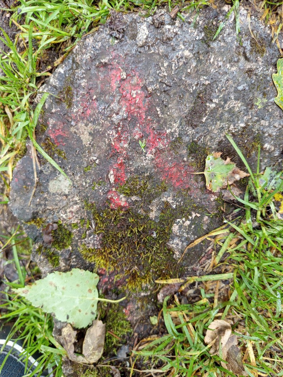 Да и направление пути указано.