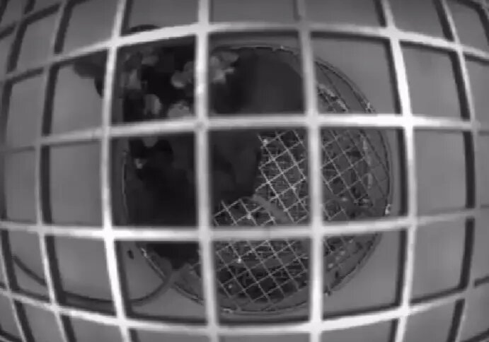    Фото: стоп-кадр видео от пресс-службы Роскосмоса