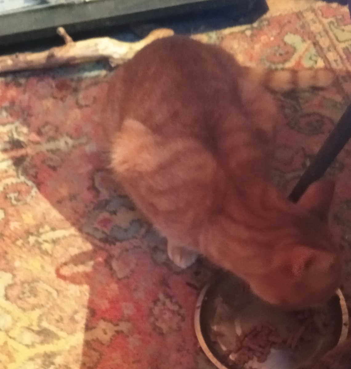 личное фото