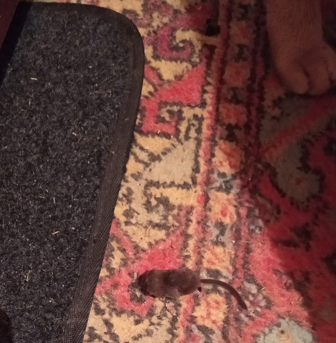 личное фото