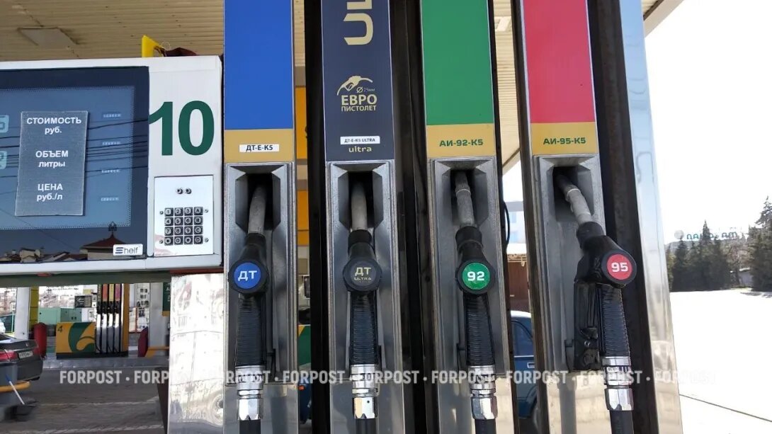 Фото: Татьяна Воробьёва / ForPost