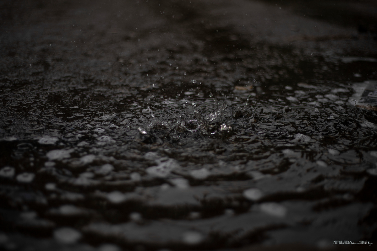 Дождь не даёт о себе забыть