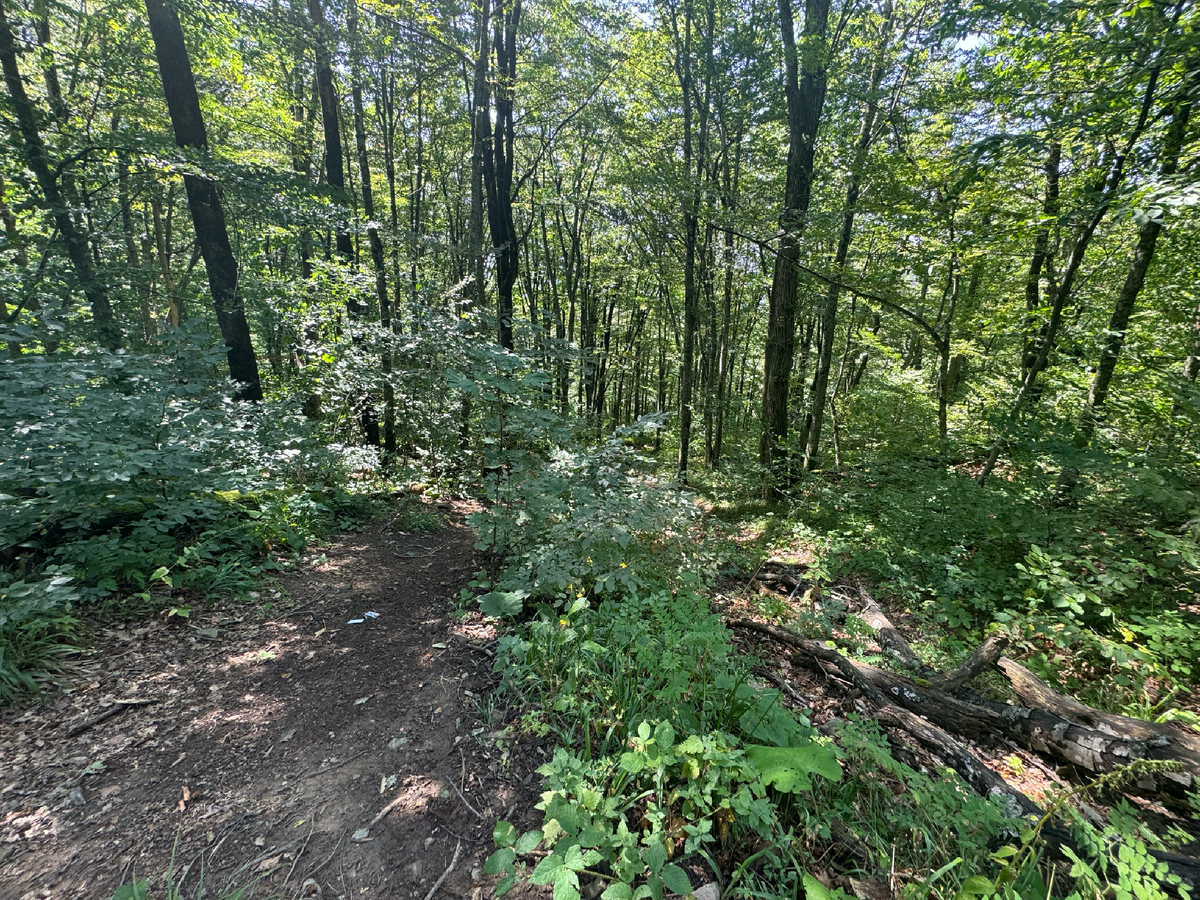 Продолжение тропы в сторону горы "Два брата"