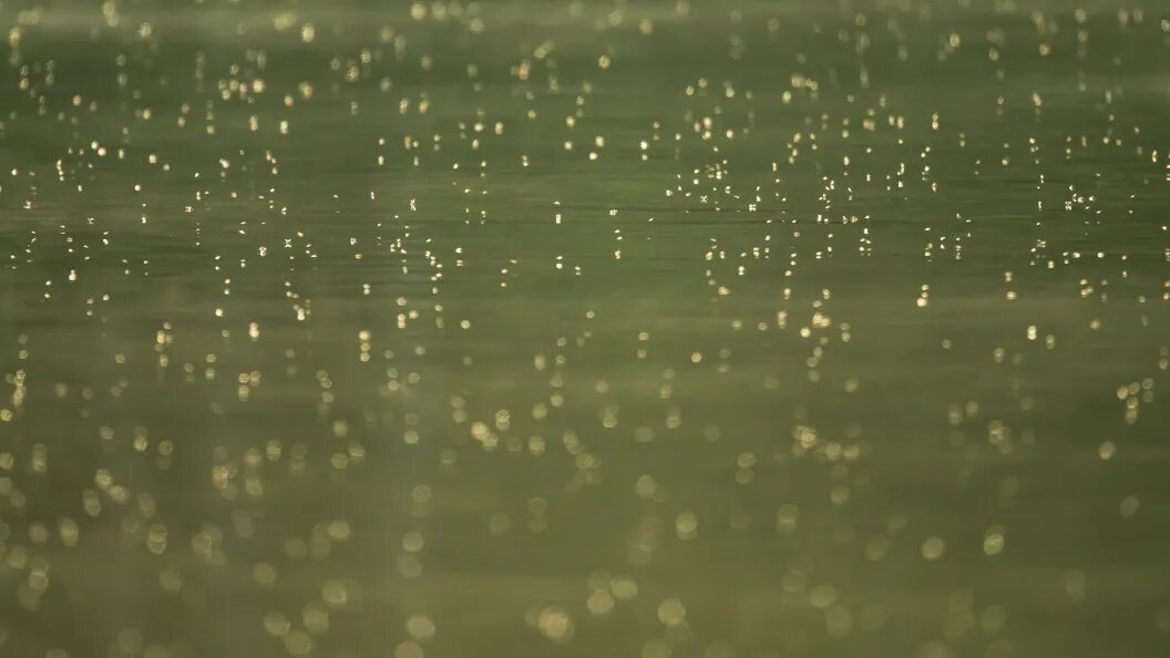    Silas Stein/dpa/Globallookpress