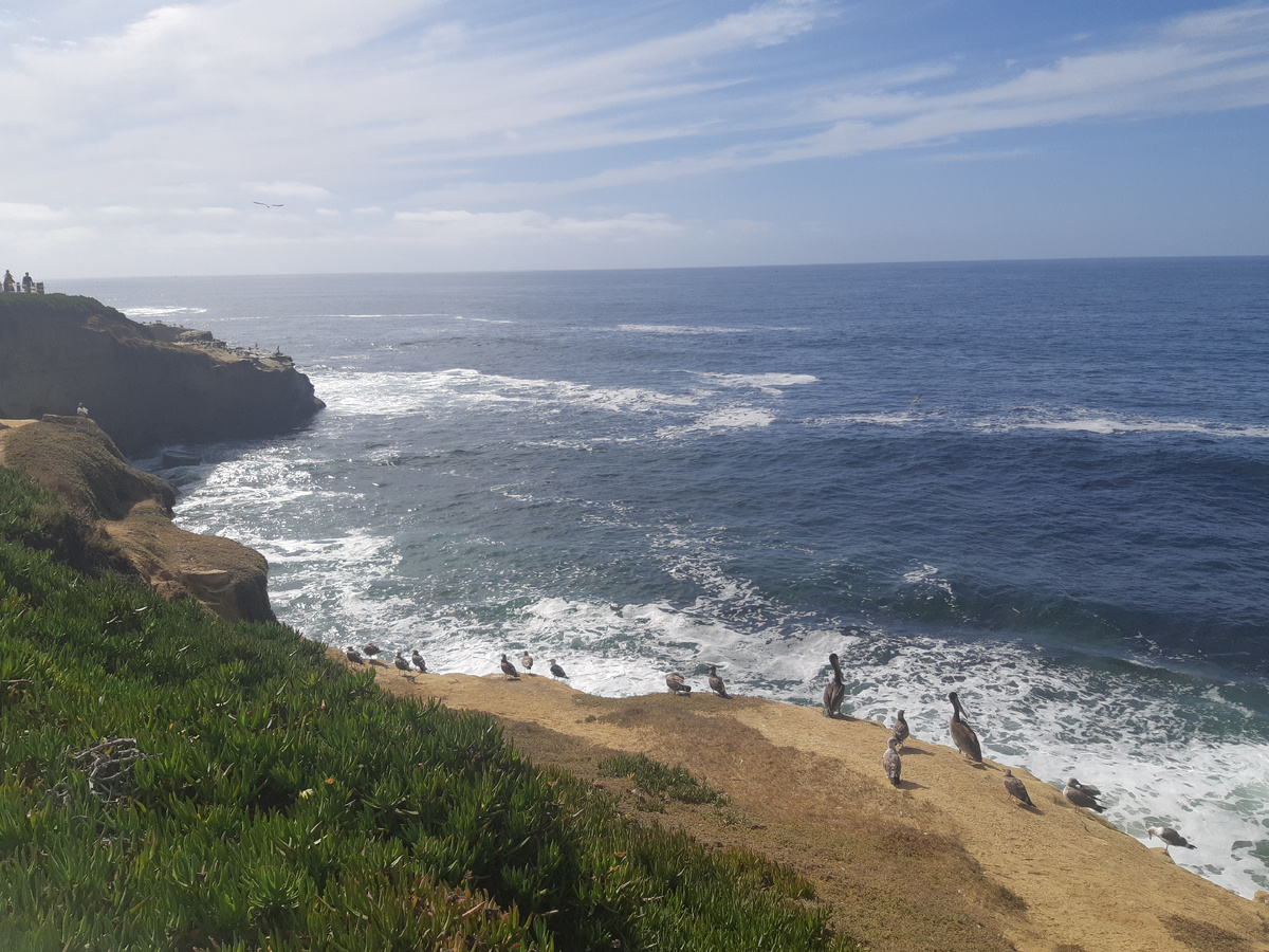 Вид на Тихий океан в Сан-Диего, Калифорния.