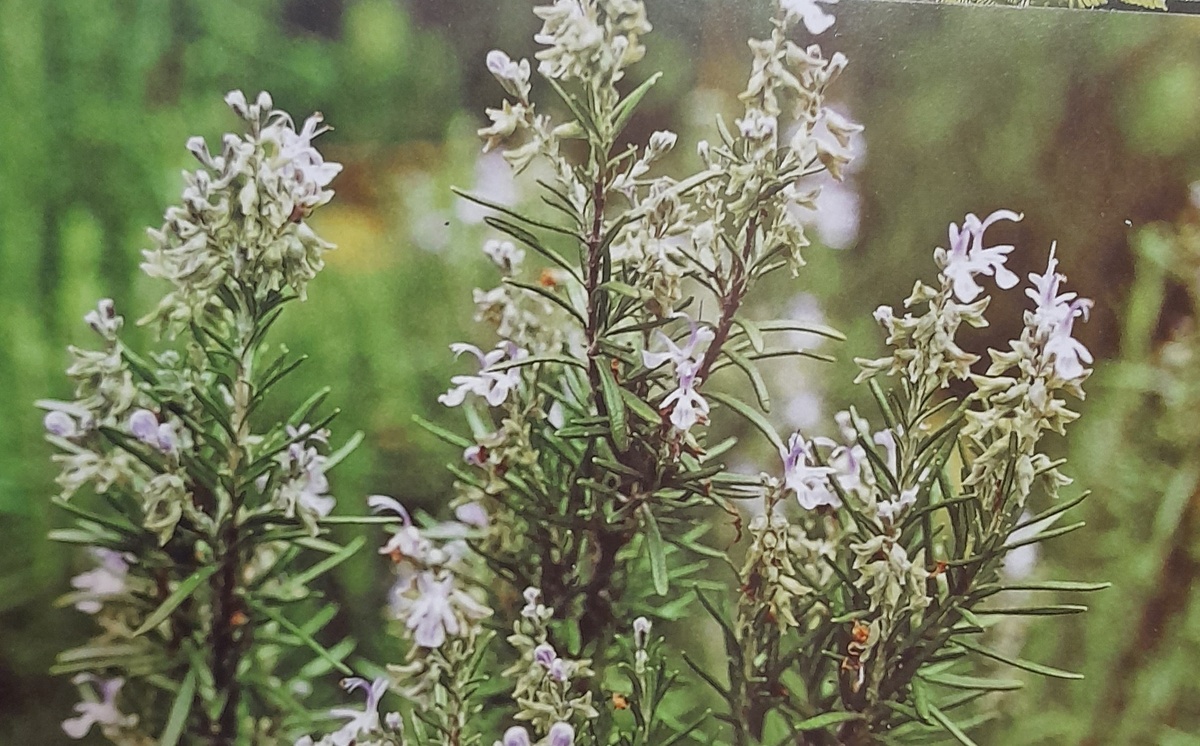 Фото автора канала