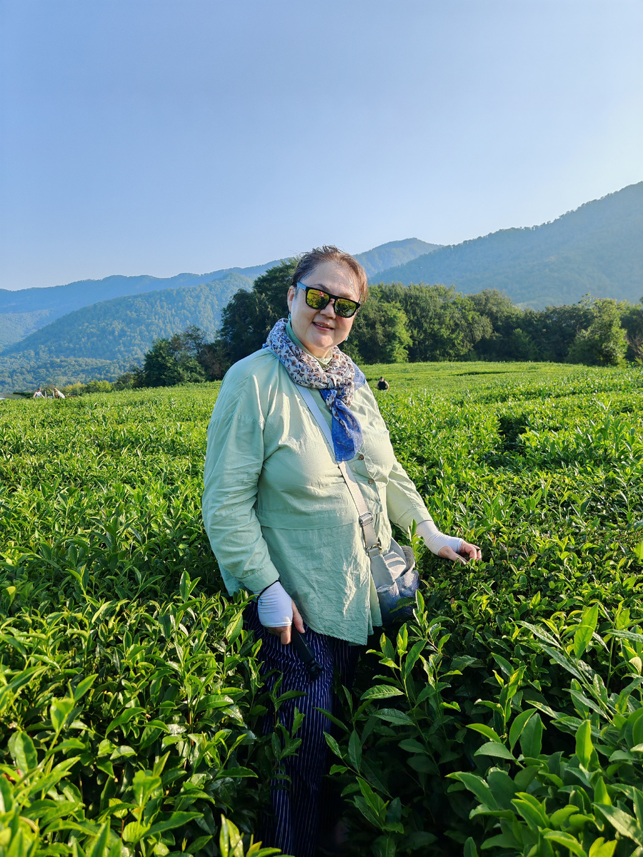 Мацеста. Чайная плантация. Фото автора.