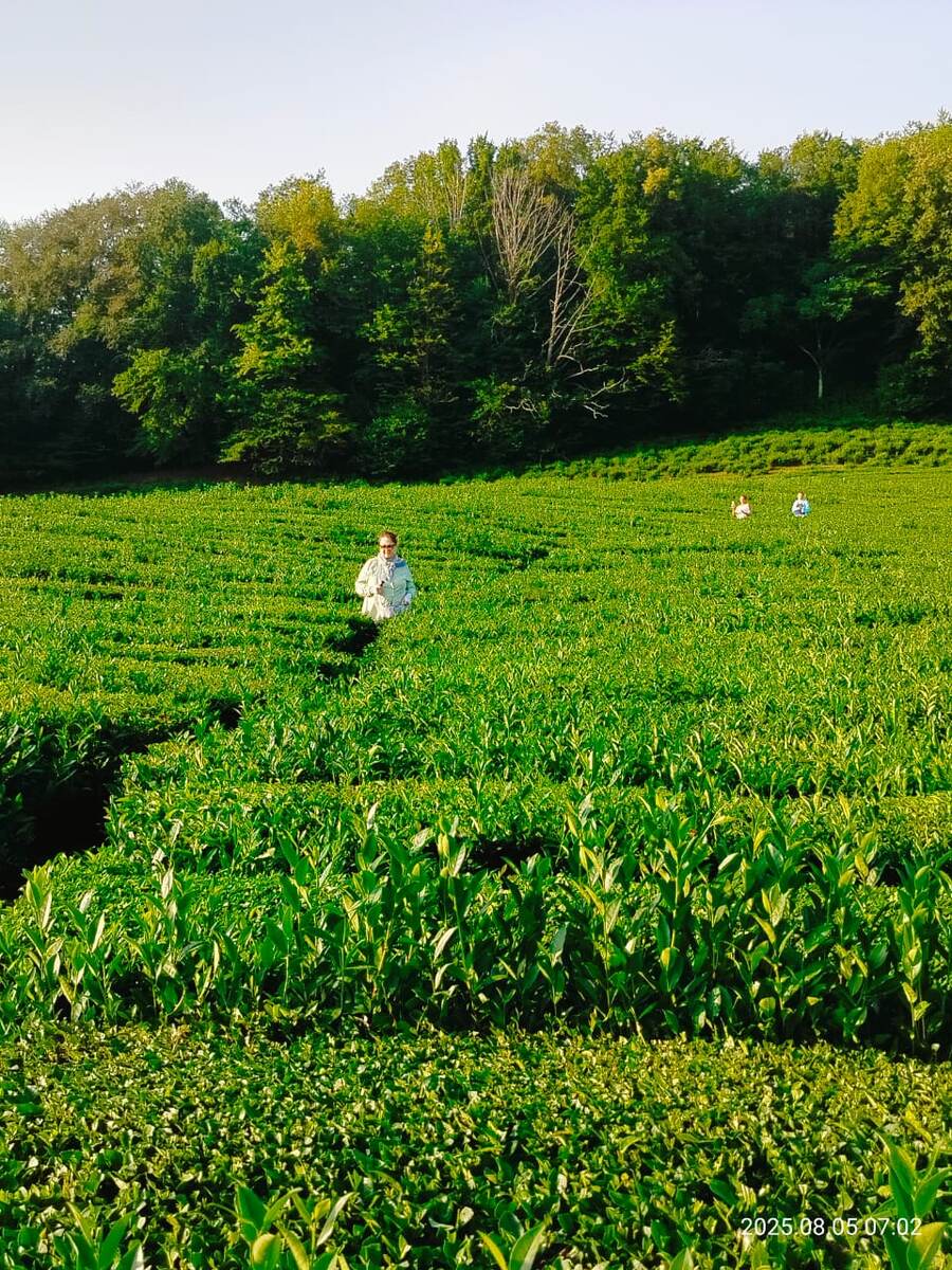 Фото автора.