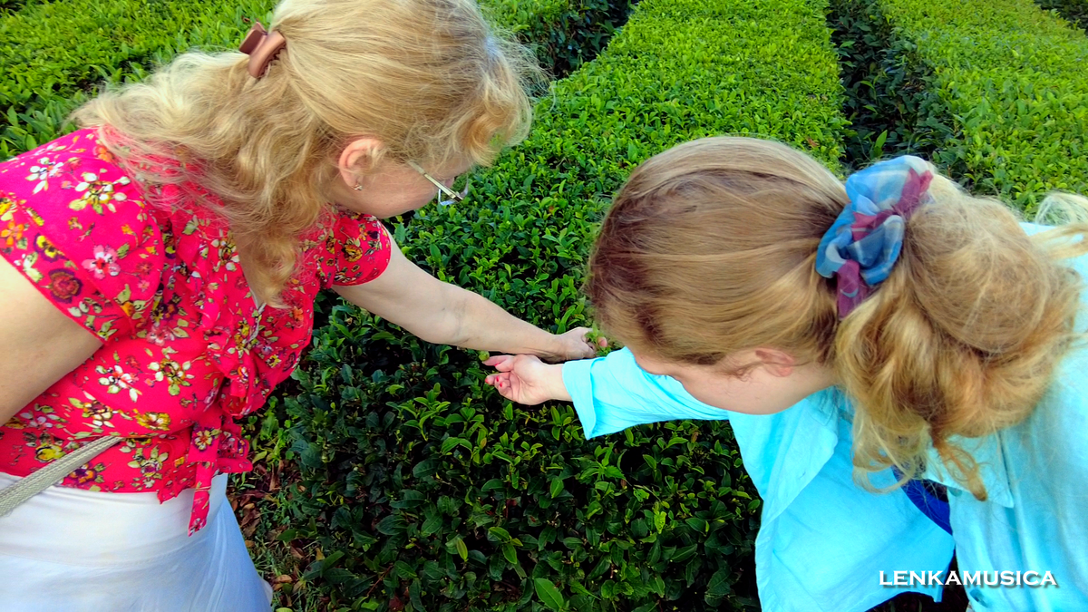 Фото автора.