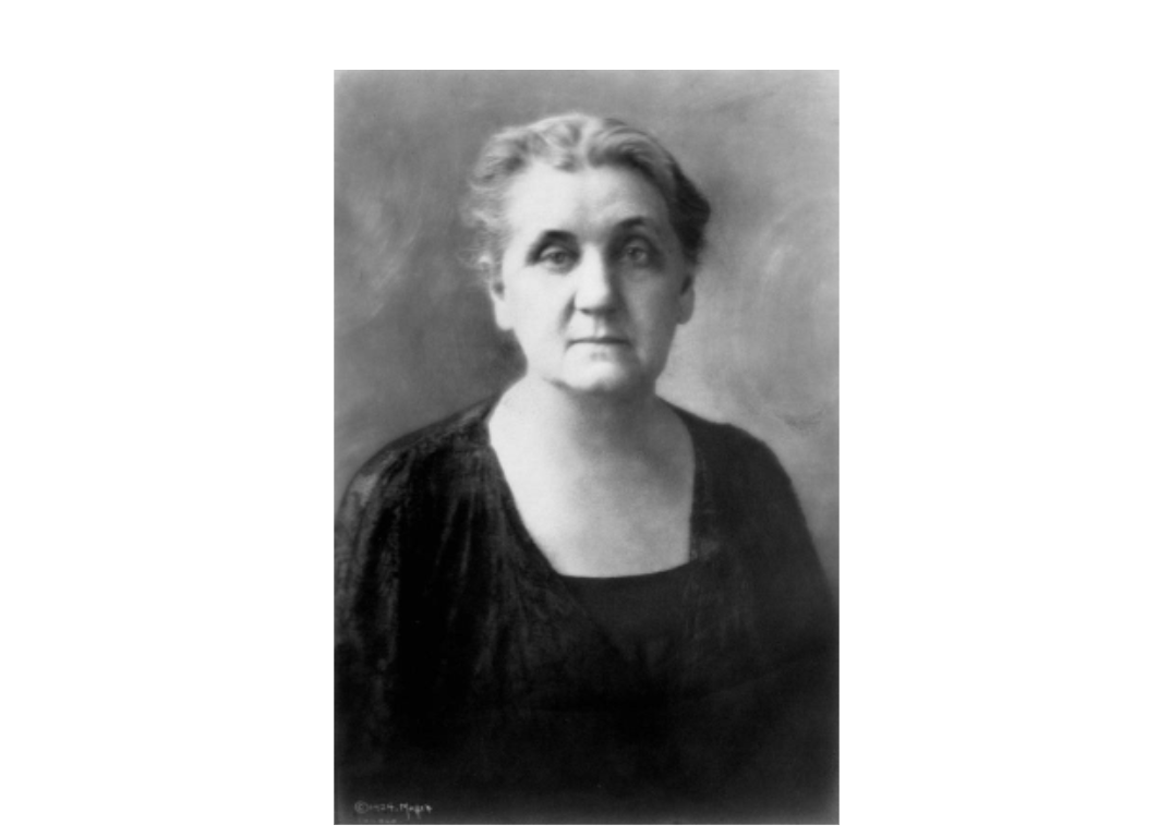 Джейн Аддамс, основательница чикагского Hull House и легендарная американская социальная реформаторка, присоединилась к движению антиимпериалистов. На этом портрете она изображена в годы своей активной общественной деятельности.

Во время собрания Chicago Liberty в 1898 году Аддамс резко высказалась о политике США, заявив:

«Защита слабых» всегда была лишь оправданием для власти и налогосборщиков — для вождей, королей, баронов… и теперь, наконец, для «белого человека»».