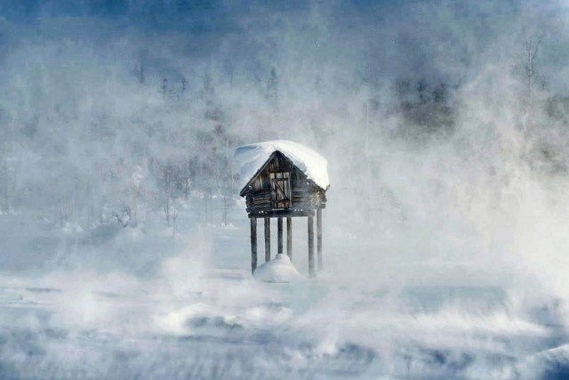 Фотограф Елена Чернышова