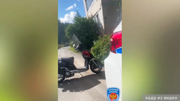     Фото: кадр из видео   
 Текст: Денис Тельманов