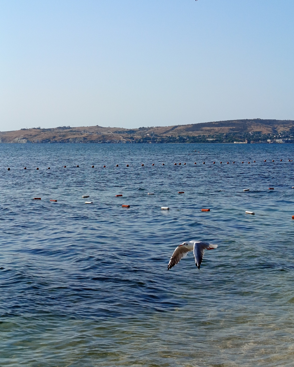 Чёрное море. Фото автора