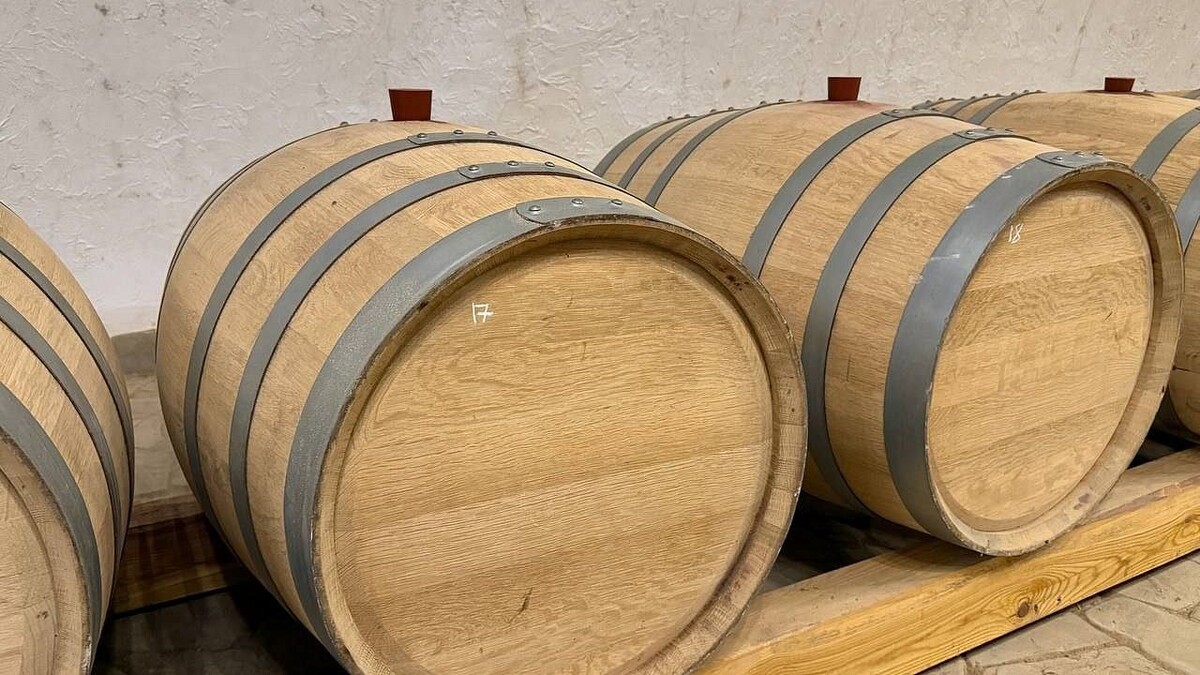    Фото: телеканал «Краснодар»