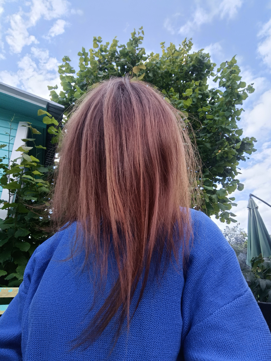 Как вы думаете, меня бы взяли на роль девочки с волосами, вылезающей из колодца, в фильме Звонок? 