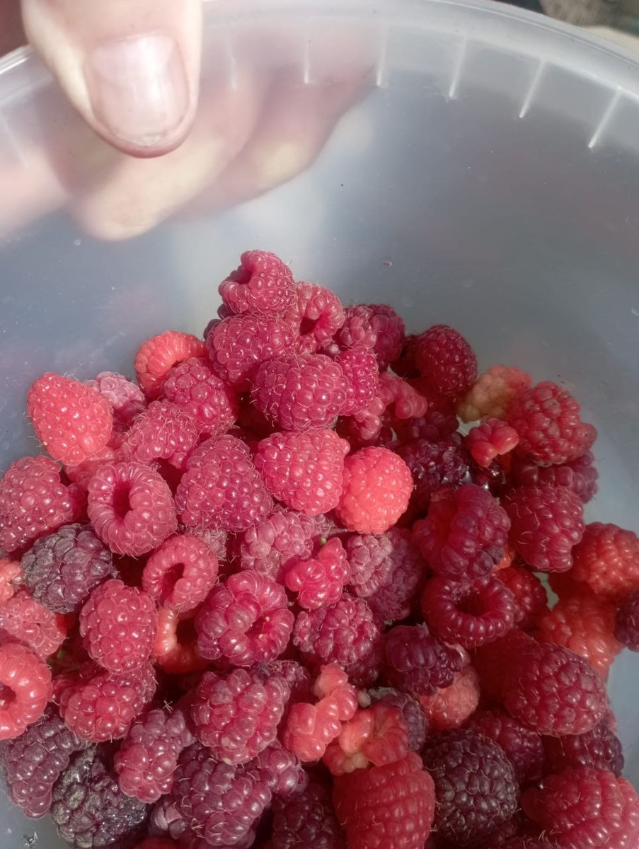 Сладкая малина😍