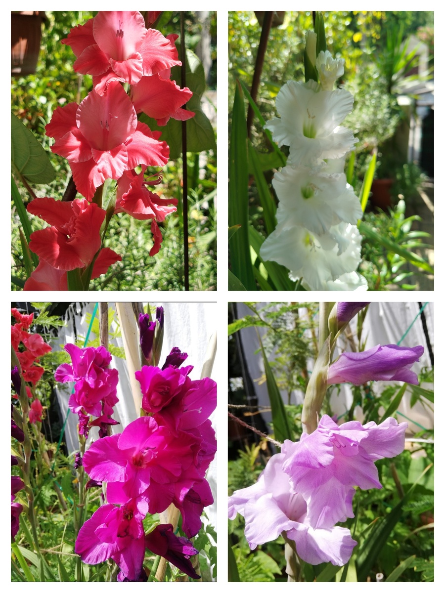  Фото автора.