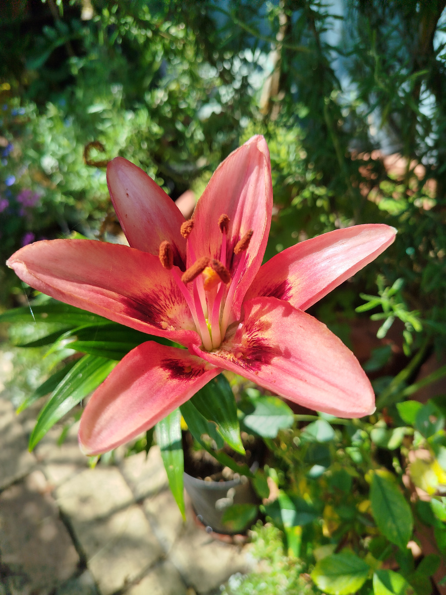 Фото автора.