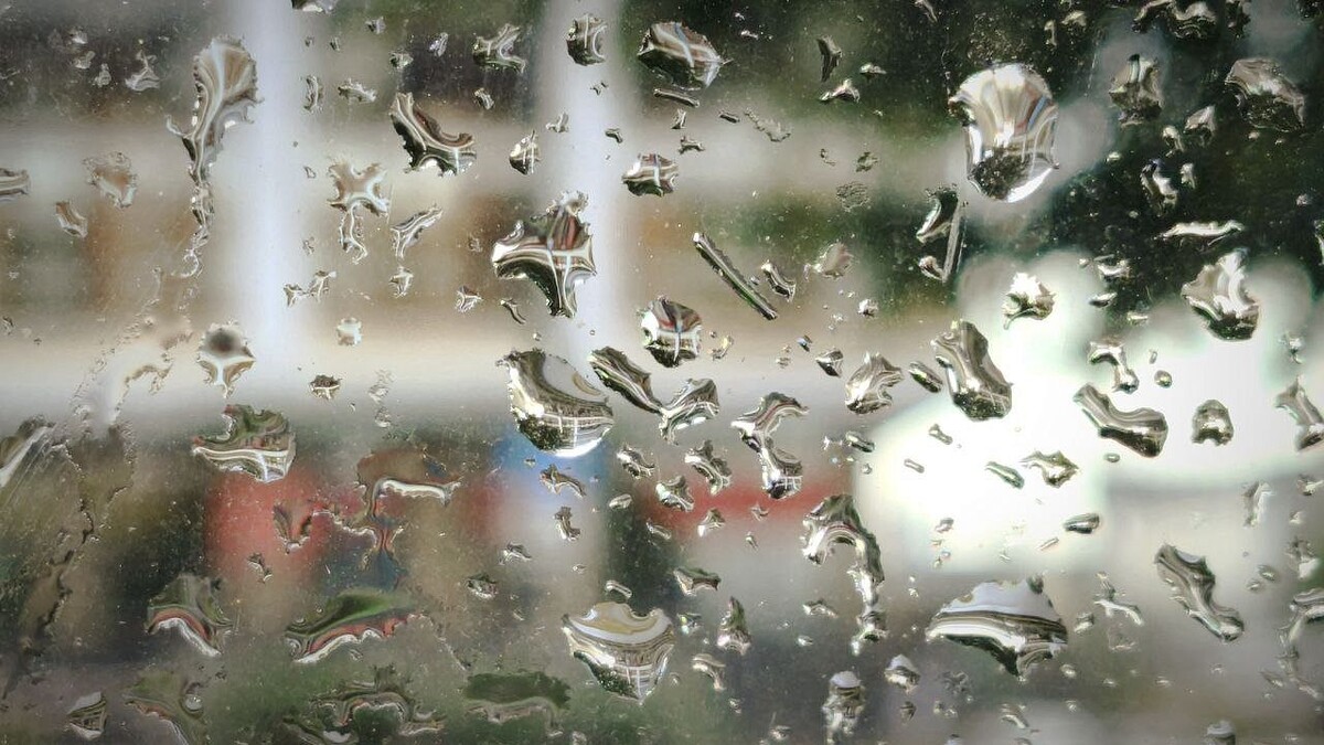    Фото: телеканал «Краснодар»