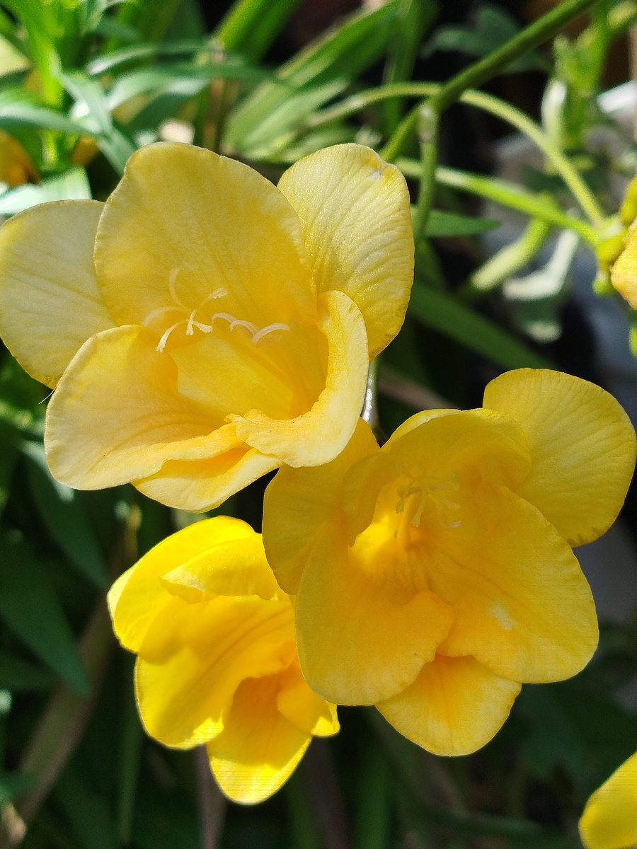 Фото автора. Март 2025г.