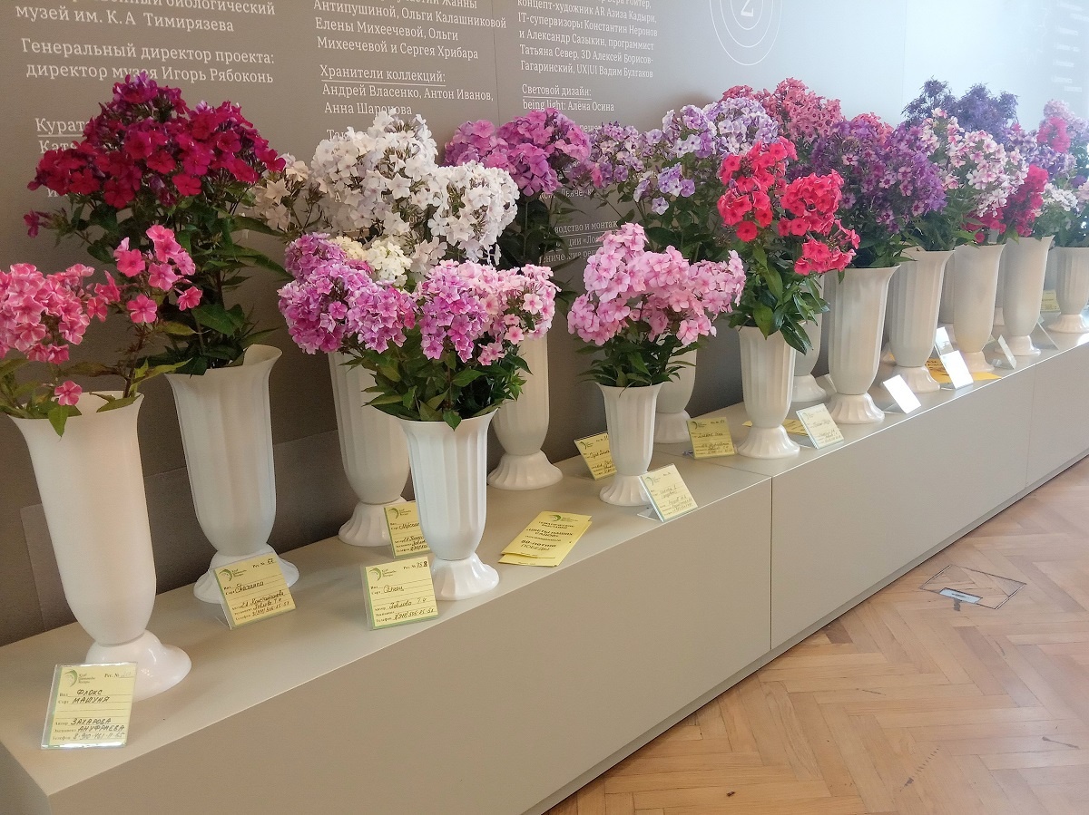 Фрагменты экспозиции 