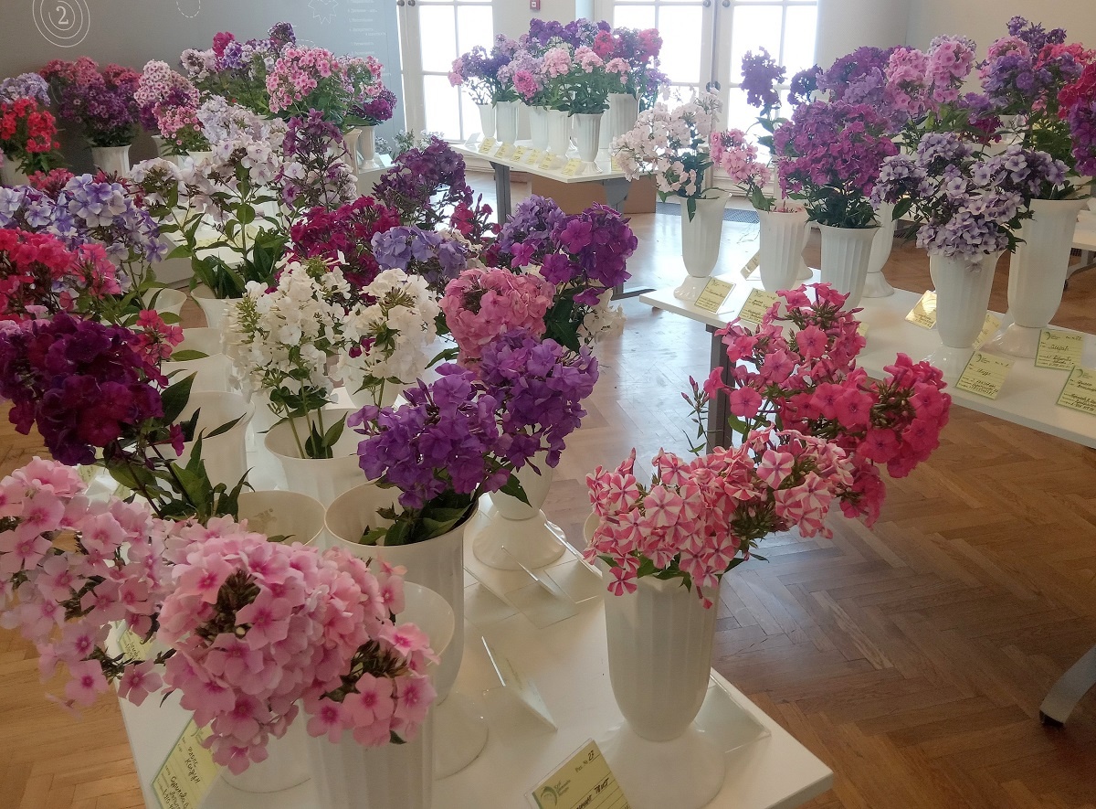 Фрагменты экспозиции 