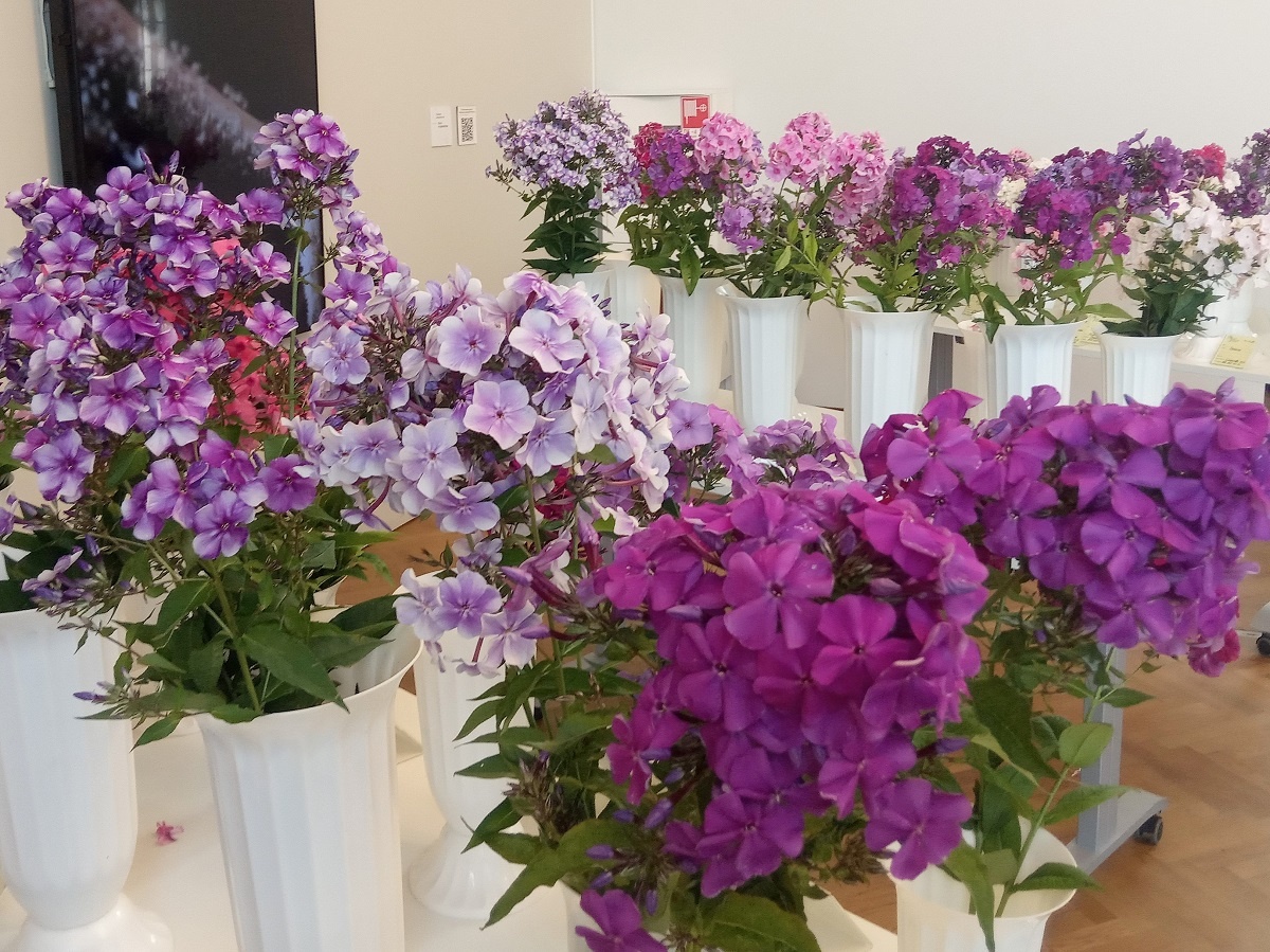 Фрагменты экспозиции 