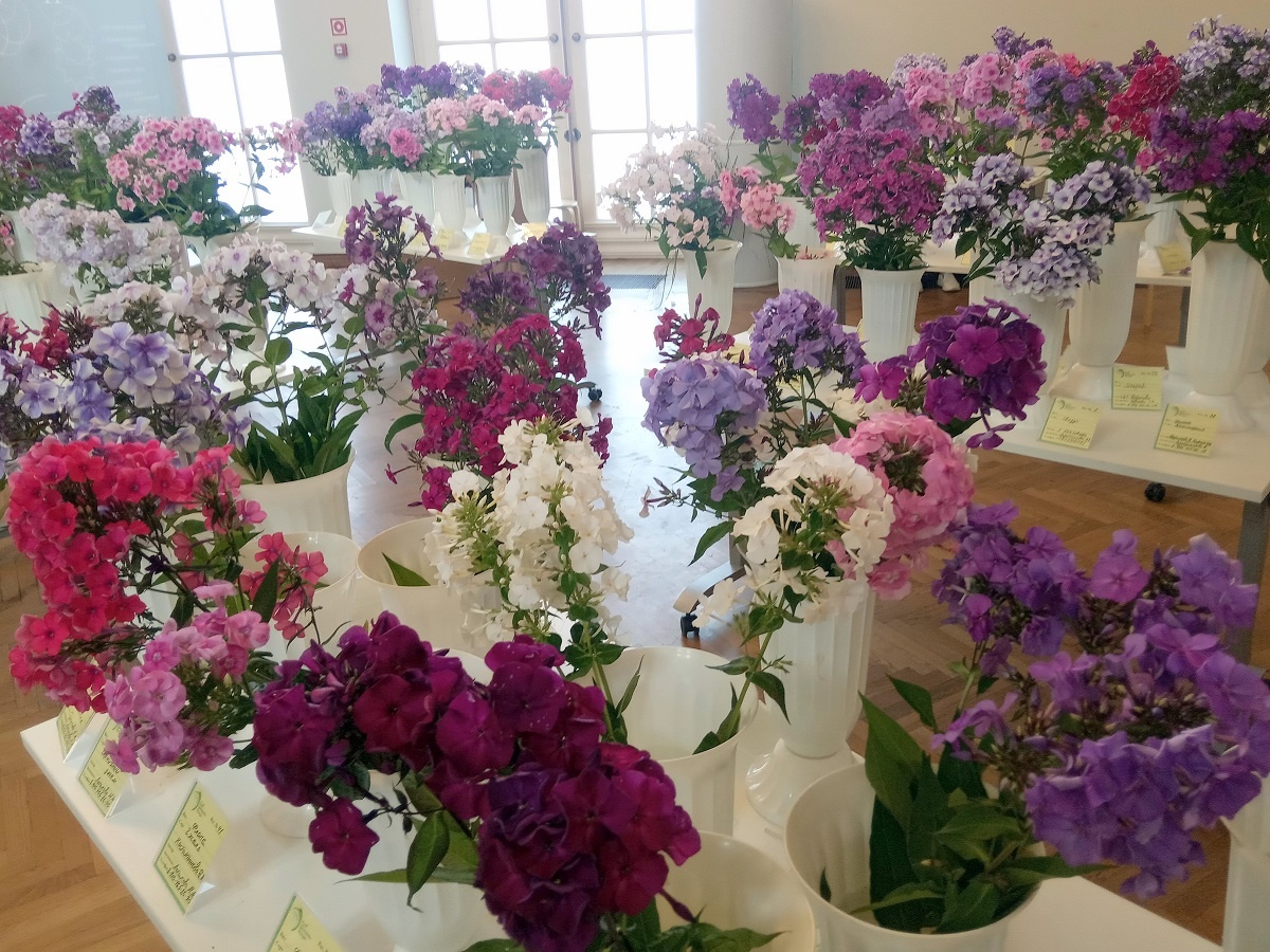 Фрагменты экспозиции 