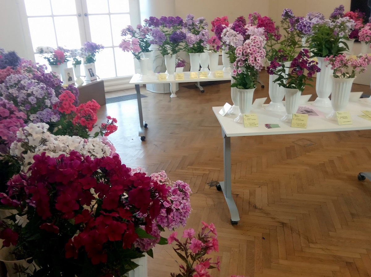 Фрагменты экспозиции 