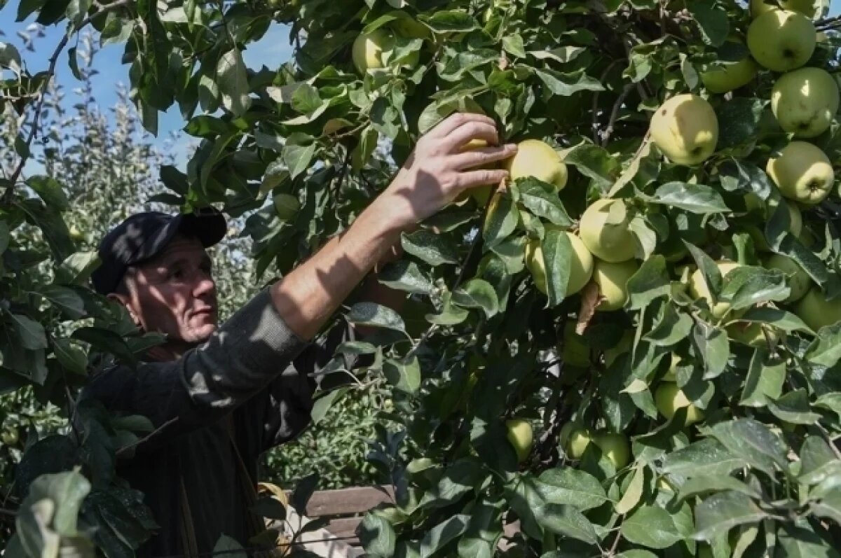    Не дать упасть.