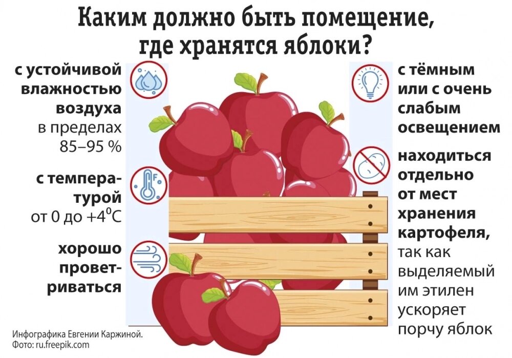    Фото: АиФ/ Евгения Каржина