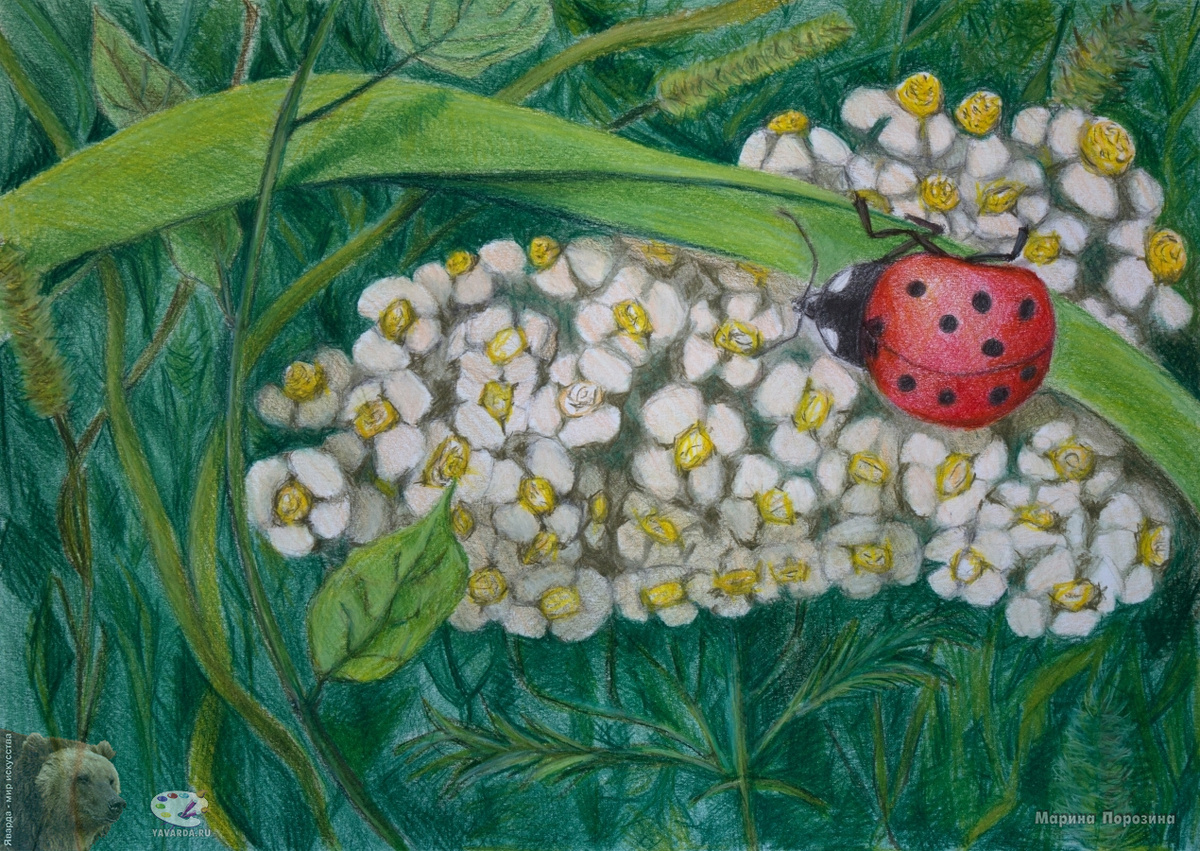 Порозина Марина Валерьевна (1965) «Божья коровка», 2018 год. Бумага, цветные карандаши. Размеры: 29,7х42 см. Собрание художницы. Фото картины взято из открытого источника.
