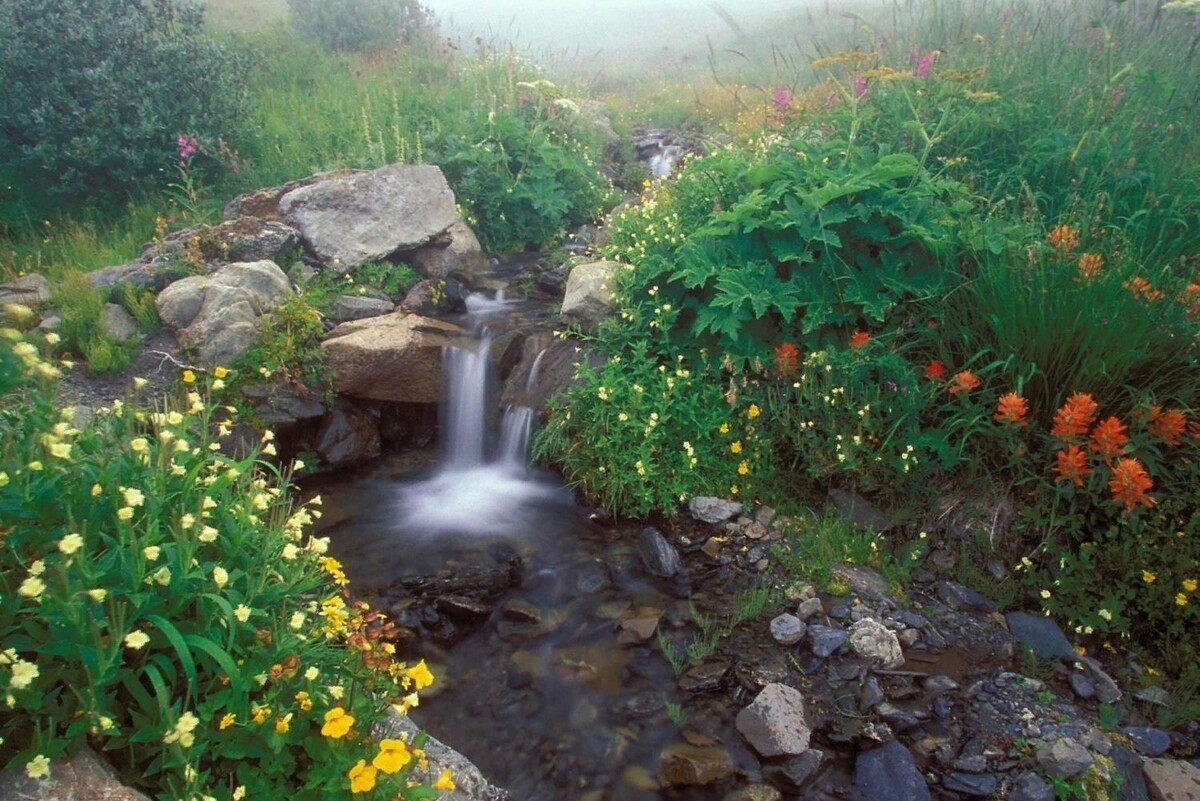 Изображение из открытых источников