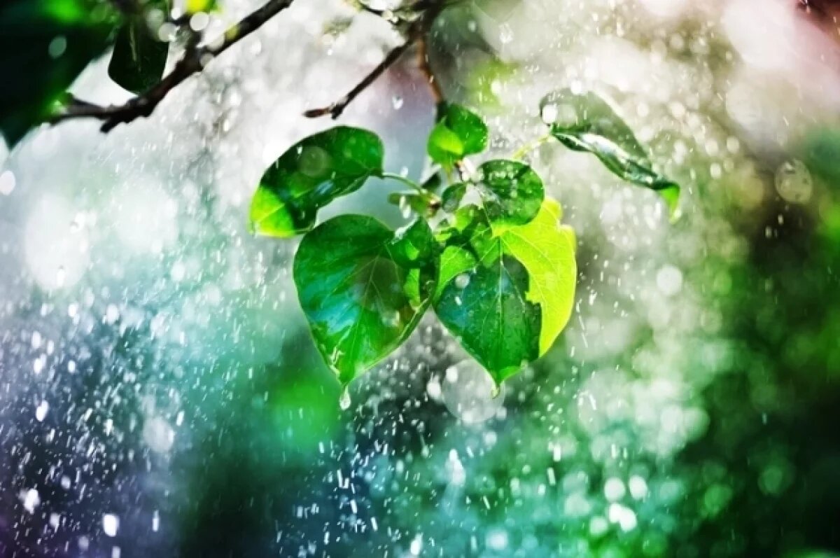    Погода на Камчатке 23 августа: облачно, дожди и умеренный ветер