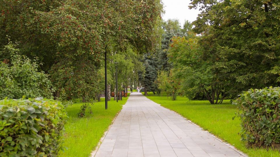    Пасмурно. Лето. Погода.. Источник: Виталий Барабаш