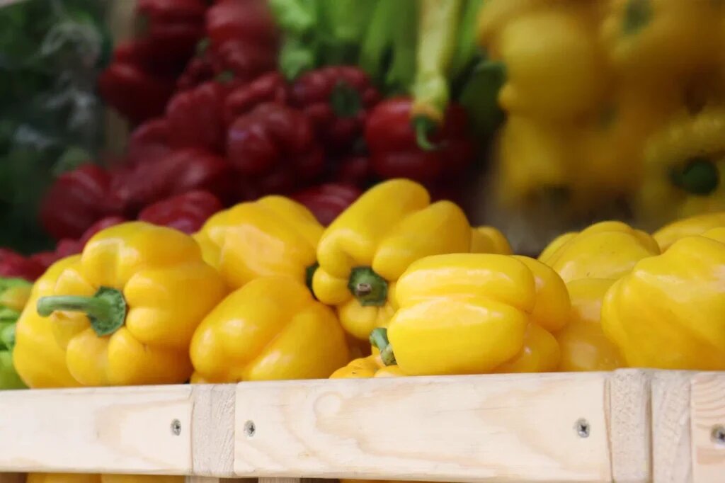    Фото: Амур.инфо