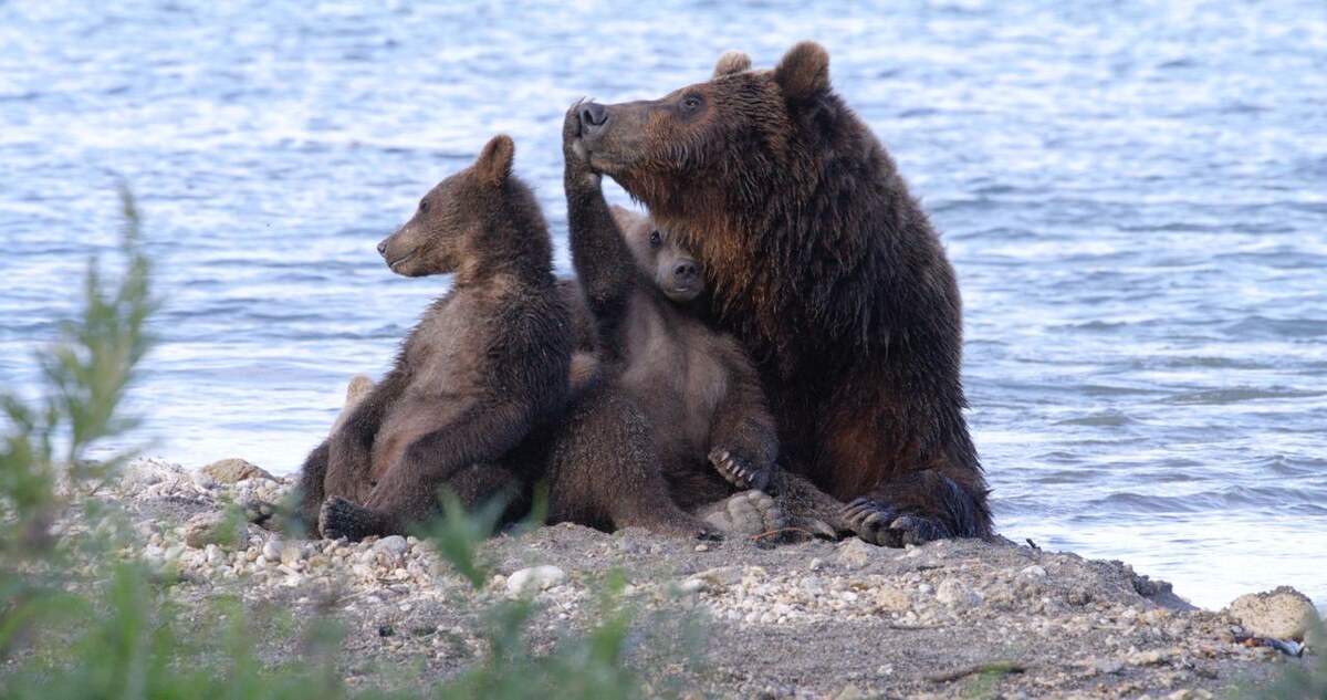 Фото: Дмитрий Шпиленок 