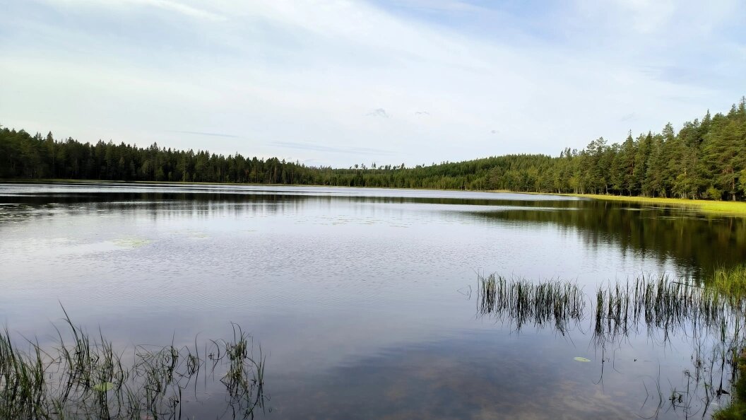    Maksim Konstantinov/Globallookpress