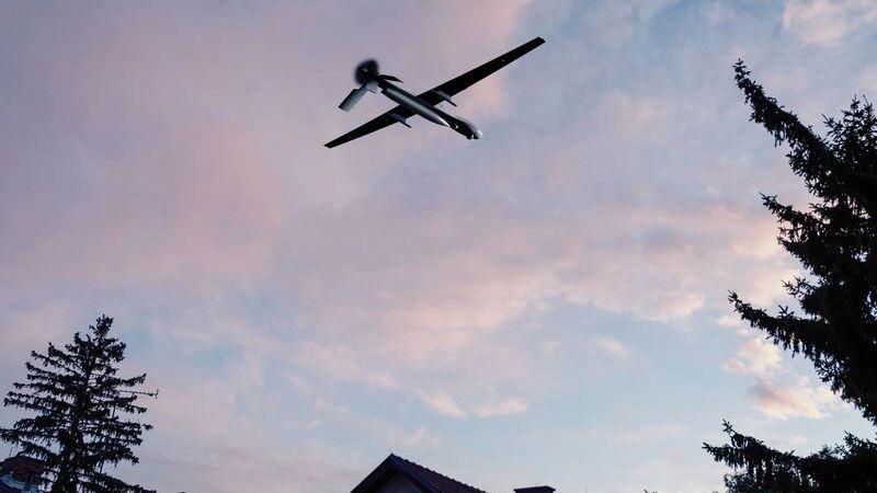    Фото: Anelo/Shutterstock/Fotodom