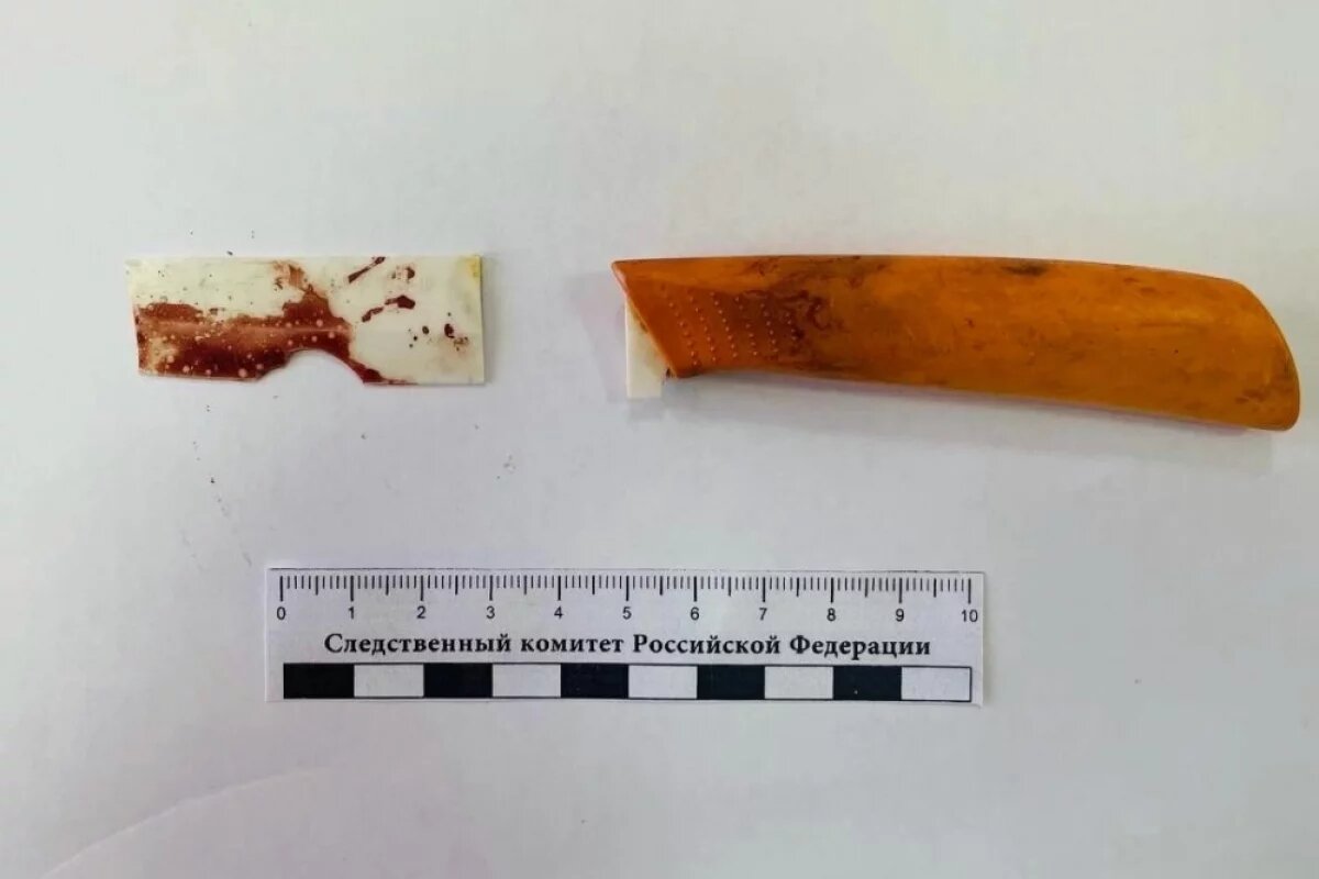    Приамурец хотел зарезать знакомого, но лезвие ножа лопнуло в груди жертвы