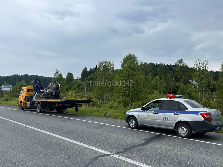     Фото: Telegram / Госавтоинспекция Кузбасса