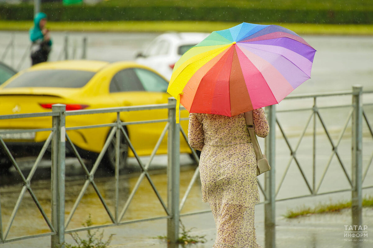 Фото: © Владимир Васильев / «Татар-информ»