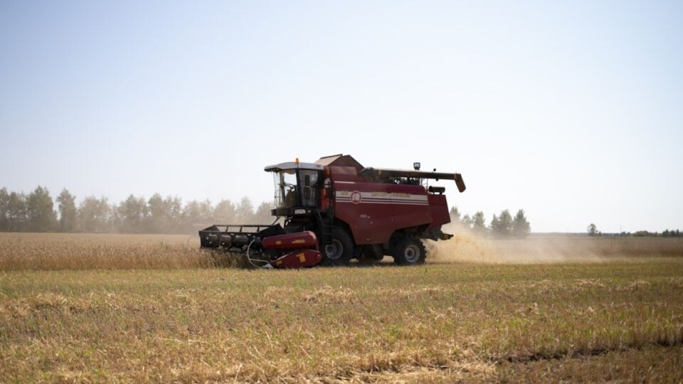   Поле. Урожай. Комбайн. Источник: Анна Меньшикова